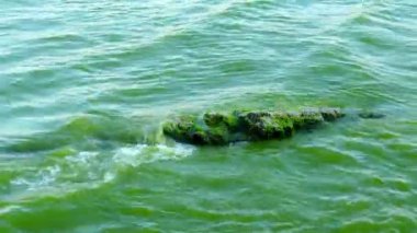 Dalgalar deniz karşı kıyı taşlar dayak.