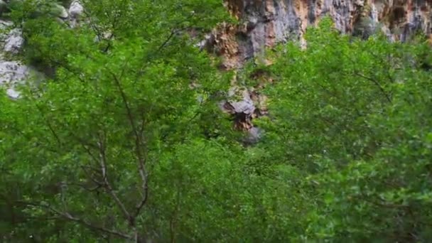 Paklenica カルスト川キャニオンは、クロアチアの国立公園です。スタリー グラード、ザダルからそれほど遠くない、ヴェレビト山の南斜面での北ダルマチアにあります。マラとヴェリカ パクレニツァ. — ストック動画