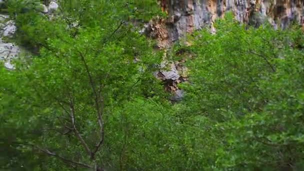 Paklenica カルスト川キャニオンは、クロアチアの国立公園です。スタリー グラード、ザダルからそれほど遠くない、ヴェレビト山の南斜面での北ダルマチアにあります。マラとヴェリカ パクレニツァ. — ストック動画