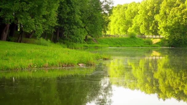 Красивое озеро в летнем городском парке — стоковое видео