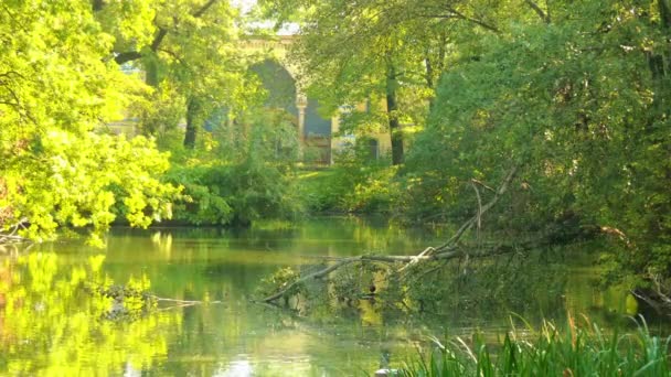 Tranquillo lago abbandonato invaso nel lago europeo . — Video Stock