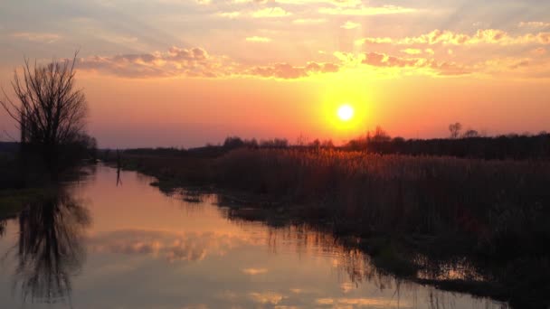 Prachtige zonsondergang tegen kalme rivier op zomeravond. — Stockvideo