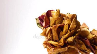 kurutulmuş sarı sonbahar yaprakları dön ışık arka plan üzerinde