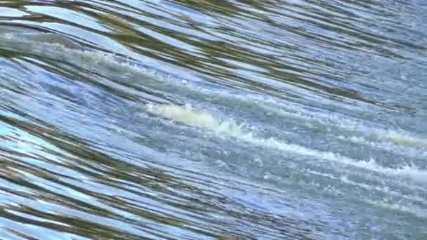 Rápido flujo de agua corre rápidamente hacia abajo — Vídeo de stock