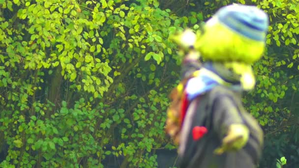 Animaux en peluche dans le jardin d'été sur fond d'arbres — Video