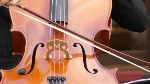 Musician in costume plays cello close-up. Cello or violoncello is bowed, and sometimes plucked, string instrument with four strings tuned in perfect fifths — Stock Video