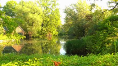 Sessiz büyümüş Gölü Avrupa göl, terk edilmiş..