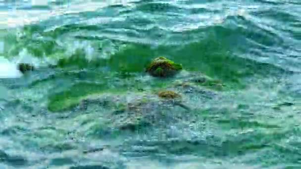 Морські хвилі б'ються на берегових каменях . — стокове відео