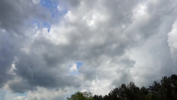 Cielo tempestoso e dune di sabbia vicino a piccolo lago della pianura europea centrale — Video Stock