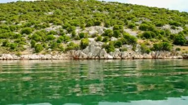 Tepelik ve büyümüş çalılar Novigrad kıyı deniz Zadar bölgesi, Hırvatistan.