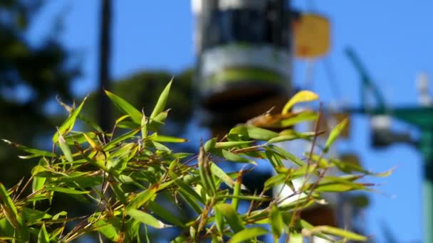 LISBON, PORTUGAL - MARCH 25 2016: Cab on cable car in Lisbon Zoo, Portugal. — Stok Video