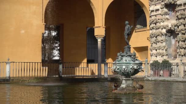 Jardins Alcazar. Alcazar de Sevilha é um palácio real em Sevilha, Andaluzia, Espanha, originalmente desenvolvido por reis muçulmanos mouros. . — Vídeo de Stock
