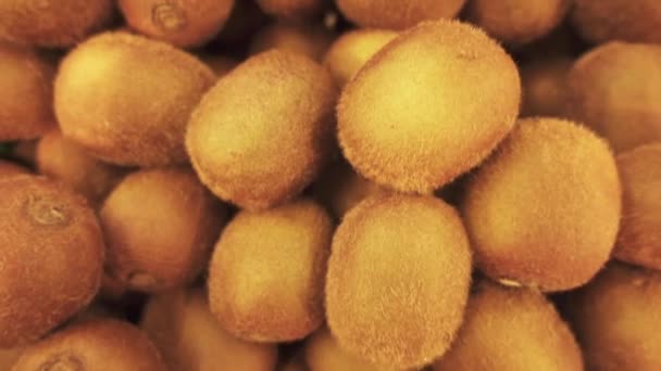 Le kiwi (kiwi) ou groseille à maquereau chinoise est une baie comestible de plusieurs espèces de vignes ligneuses du genre Actinidia. Fruit a une texture douce, avec une saveur douce et unique . — Video