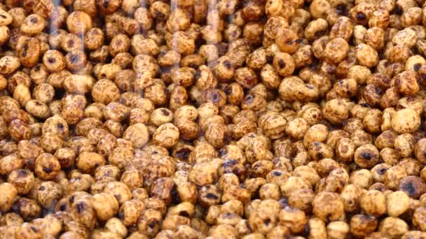 Roasted chickpeas. Chickpea or chick pea (Cicer arietinum) is legume of family Fabaceae, subfamily Faboideae. It known as gram or Bengal gram, garbanzo or garbanzo bean, or Egyptian pea. — Stock Video