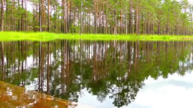 Lahemaa, Estonya Viru Raba bataklık alanında Panoraması.