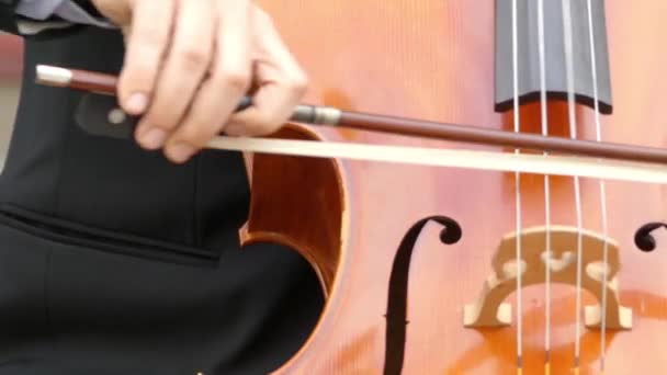 Muzykiem w strój odgrywa wiolonczeli zbliżenie. Wiolonczela lub wiolonczelę jest ukłonił się i czasami oskubane, instrument strunowy z cztery struny strojone w kwintach — Wideo stockowe