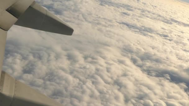 Ala Avión Volando Sobre Nubes Blancas Esponjosas Gran Altitud — Vídeo de stock