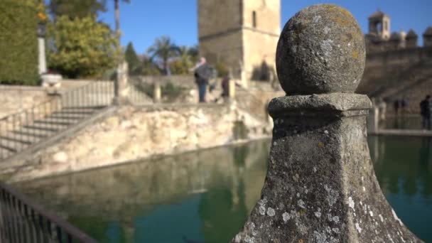 Alcazar de los Reyes Cristianos (Замок христианских монархов) в Кордове, Андалусия, Испания. Крепость служила одной из главных резиденций Изабеллы I Кастильской и Фердинанда II Арагонского . — стоковое видео
