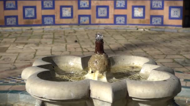 Сади Алькасар. Фортеця в Севільї є царського палацу в Севільї, Андалусия, Іспанія, спочатку розробленої в мавританському мусульманських царів. — стокове відео