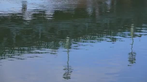 Reflexión en puente fluvial con linternas . — Vídeos de Stock