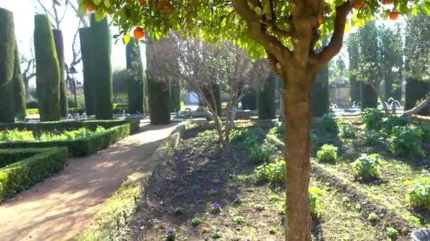 Alcázar de los Reyes Cristianos (kasteel van de christelijke vorsten) in Cordoba, Andalusië, Spanje. Vesting diende als een van belangrijkste residenties van Isabella I van Castilië en Ferdinand Ii van Aragón. — Stockvideo