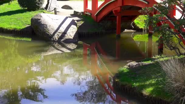 Toulouse, Frankrijk - maart 12 2108: Japanse tuin. Tuin Compans Caffarelli op Boulevard Lascrosses. — Stockvideo