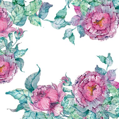 Beyaz arka plan üzerine suluboya peonies buket