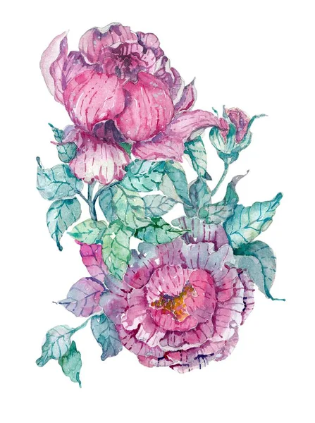 Watercolor peonies bouquet over white background — Stock Photo, Image