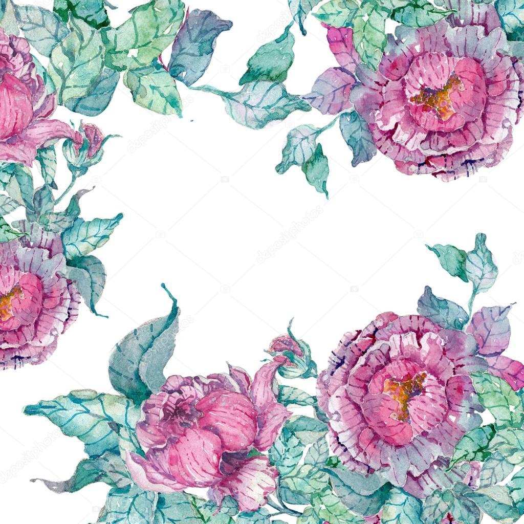 Watercolor peonies bouquet over white background