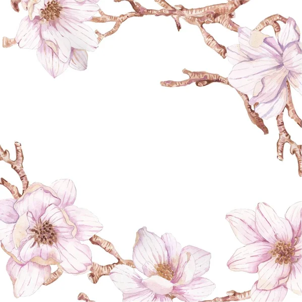 Watercolor branches of magnolia — Stock Photo, Image
