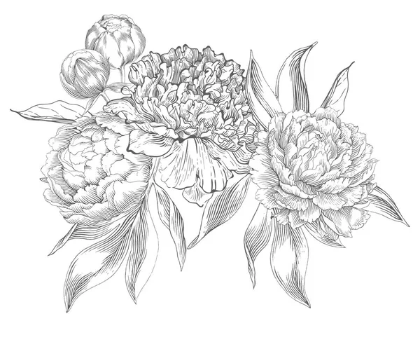 Tinta kézzel rajzolt illusztrációk, a díszes pünkösdi rózsa — Stock Vector