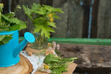 Sulama kabında renkli çiçekler