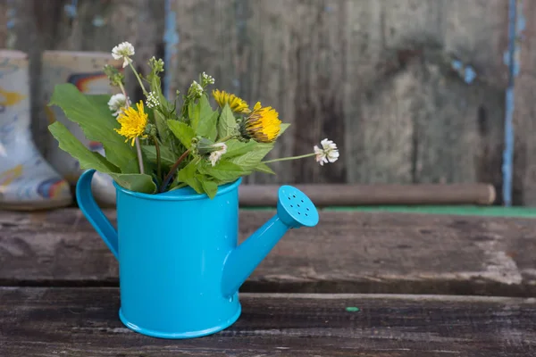 Colorful flowers in a watering can — Stock Photo, Image