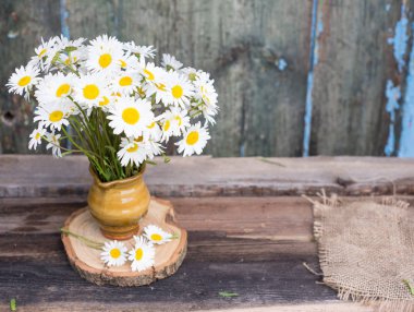 Demet papatya çiçeği