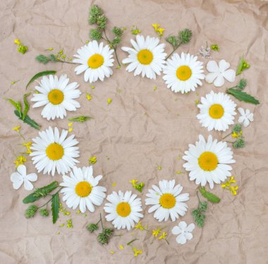 chamomile flowers over wooden background clipart