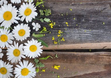 ahşap arka plan üzerinde papatya çiçeği