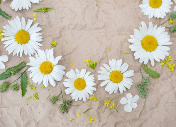 ahşap arka plan üzerinde papatya çiçeği