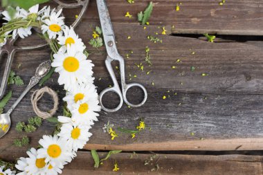 Ahşap arka plan üzerinde papatya çiçeği