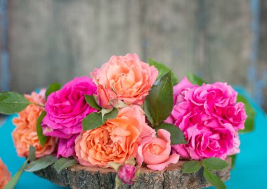 Taze pembe ve turuncu gül