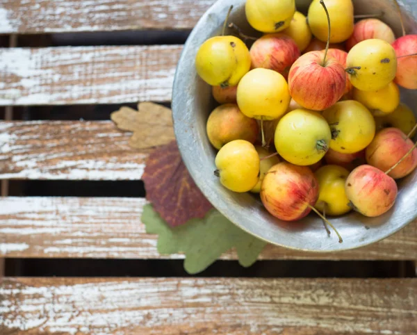 Wild bright apples — Stock Photo, Image