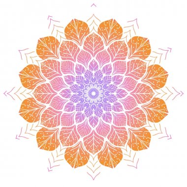 Çiçek renk Mandala