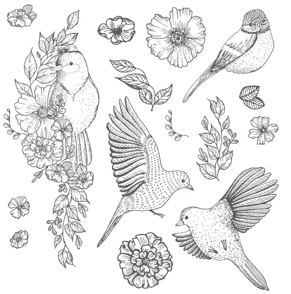 Conjunto de pássaros e flores — Vetor de Stock