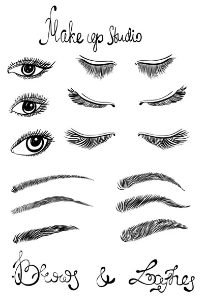 Illustration of beautiful female long eyelashes and brows — Stock Vector