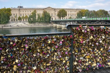 Paris 'te Seine nehri