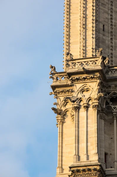 Notre-Dame w Paryżu — Zdjęcie stockowe