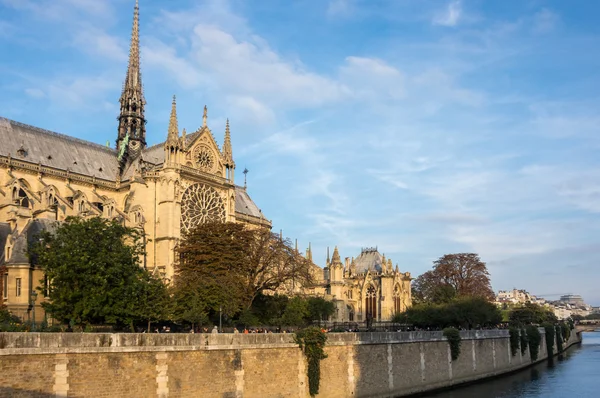 Notre Dame de Paris — Fotografia de Stock