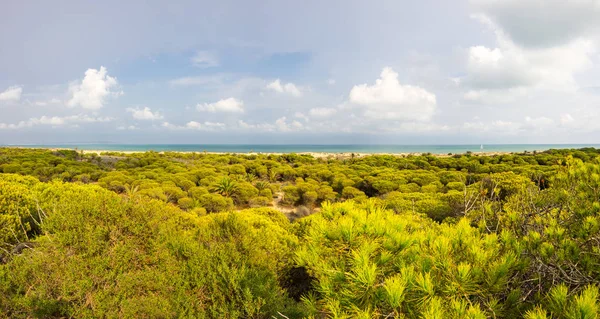 Dünen de la Marina — Stockfoto