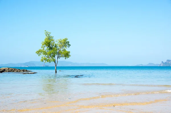 Klong Muang Strand — Stockfoto