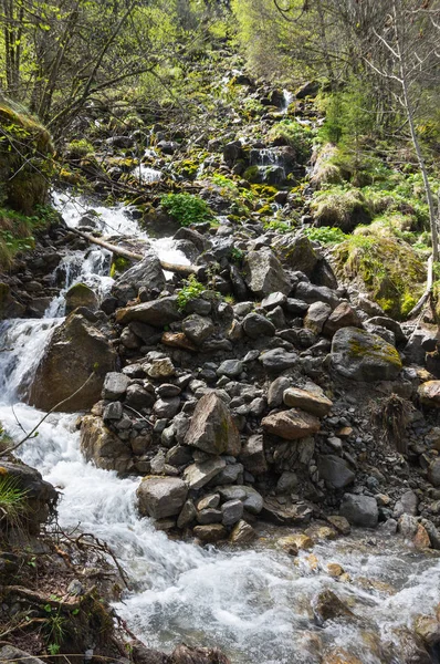 National park Ecrins — Stock Photo, Image