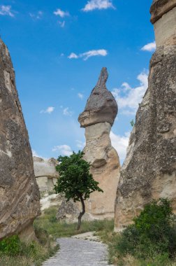 taş oluşumları Kapadokya, Türkiye